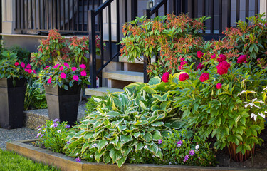 Entrance to a home through a beautiful garden with colorful flowers. Plants and flowers in pots on a doorstep