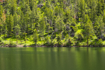 Reflection of trees and sky in a calm lake. Forest lake at summer in Canada. Green pine trees reflected in the water