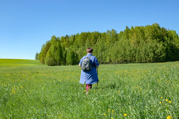 Naklejka na ściany i meble An elderly woman is walking in a field.