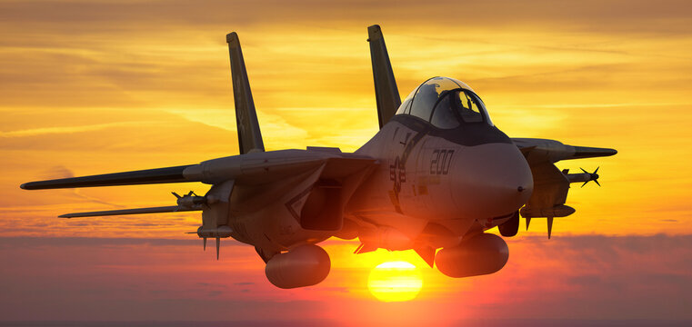 The legendary Grumman F-14 Tomcat - one of the world's most famous fighters.