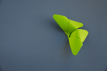 Green paper butterfly origami isolated on a grey background