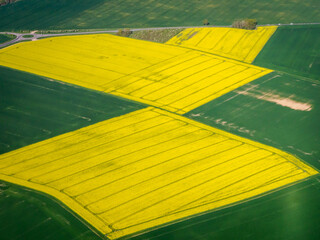 vue a&eacute;rienne de champs de colza en r&eacute;gion parisienne en France