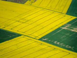 vue a&eacute;rienne de champs de colza en r&eacute;gion parisienne en France