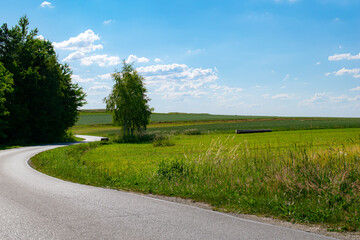 Fototapeta na wymiar winding road among the pol