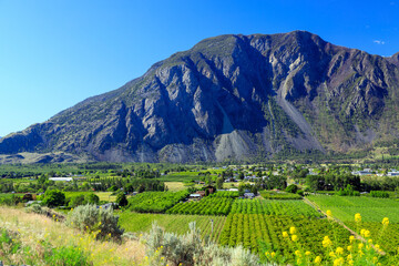 Obraz premium Fruit Orchard Keremeos Similkameen Valley British Columbia Landscape