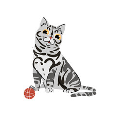 Obraz na płótnie Canvas American Shorthair cat breed with ball isolated on white background. Pet animal vector character illustration