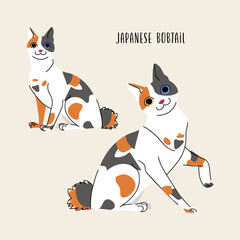Japanese bobtail cat vector set isolated on beige background. Domestic animal character illustration