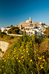 Obraz premium Dalt Vila.Ibiza.Balearic islands.Spain.