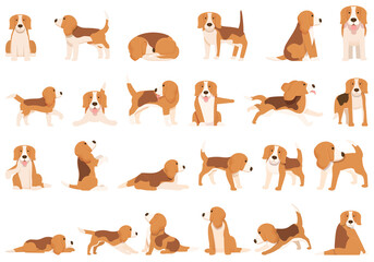 Obraz premium Beagle icons set cartoon vector. Dog breed. Canine pet