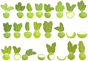 Kohlrabi icons set cartoon vector. Agriculture cabbage. Cooking cuisine