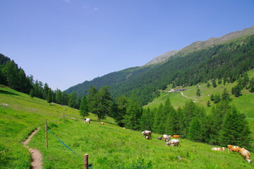 Matschertal