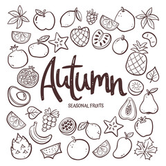 Seasonal fruits background. Hand-drawn autumn fruit composition made of doodle vector icons, isolated on white background.