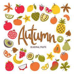 Seasonal fruits background. Autumn fruit composition made of colorful hand-drawn vector icons, isolated on white background.