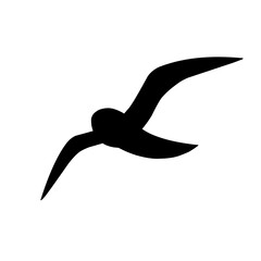 Bird, Fly, Flying birds, Aflock flying birds, Vector format