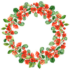Wreath of red cherry blossoms on a branch with green leaves. round floral frame. Watercolor illustration of sakura flower. Hand painted on white background for wedding invitations, cards, banners.