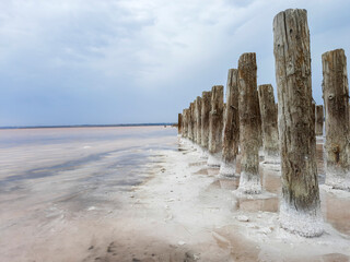 Wooden poles covered with natural salt in Kuyalnik Estuary. Beautiful landscape. Medical and health...