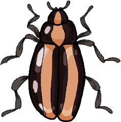 Beetles insects large set separately on a white background coloring book for children sketch doodle hand