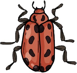 Beetles insects large set separately on a white background coloring book for children sketch doodle hand
