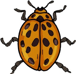 Beetles insects large set separately on a white background coloring book for children sketch doodle hand