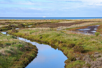 Fototapeta na wymiar landscape of the river through wetlands to the ocean and ship