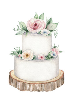 Watercolor wedding cake illustration on white background for celebration design. Birthday greeting design. Hand painted art.