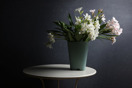 Vaso con fiori di oleandro recisi bianchi e rosa, isolato su fondo scuro