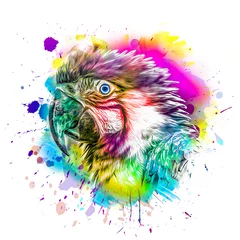 Foto auf Leinwand abstract colored parrot with colorful paint splashes on background © reznik_val