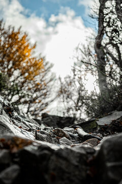 Rocky Path authumn