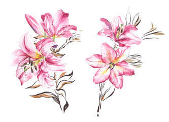 Fototapeta na wymiar Botanical floral trendy fashion illustration set print decorative watercolor lily flowers on a white background.