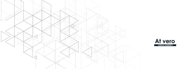 Abstract hexagons design. Honeycomb pattern on white background. Vector connet polygonal shapes