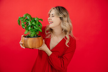 Smiling blonde woman holing basil plant on red background in studio, smiling toothy smile, looking at basil