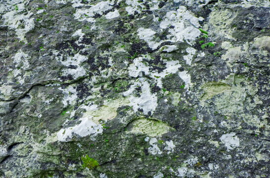 Natural Stone with Moss and Lichens. Mossy and Stone Texture. Photo Background