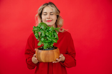 Beautiful young blonde woman holds basil in wooden pot on red background, inhales aroma with eyes closed