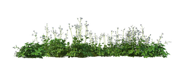 3D render flowers and shrubs with white background