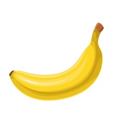 Whole ripe banana, healthy fruit snack color vector illustration. Exotic tropical vegetarian food of yellow banana in cartoon style, isolated