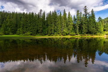 Fototapeta na wymiar tranquil landscape with lake in summer. forest reflection in the calm water. scenic travel background. green outdoor nature scene
