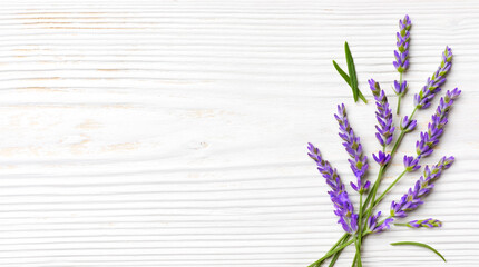 Vivid lavender flowers bouquet on wooden background with empty space