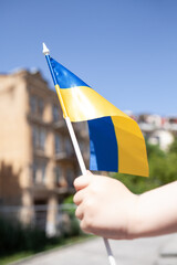 hand holding a flag