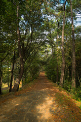 Fototapeta premium Peninsula of La Magdalena, is located in the city of Santander (Cantabria, Spain)