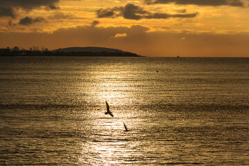 Fototapeta premium Beautiful sea view during sunrise