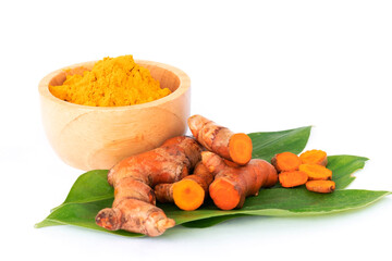Turmeric extract powder.