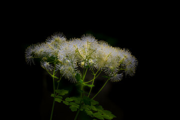 Aareschlucht is a spectacular place located between Meiringen and Innertkirchen. Switzerland.