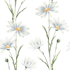 Watercolor seamless pattern with daisies on white.