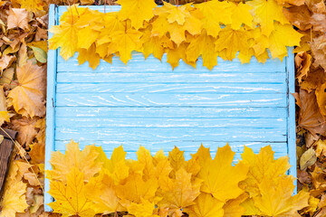 Autumn leaves frame on wooden background top view Fall Border yellow and Orange Leaves vintage wood table Copy space for text.