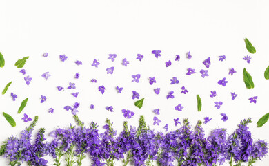 Composition of purple meadow flowers. The concept of summer, spring, holiday. Top view, flat lay.