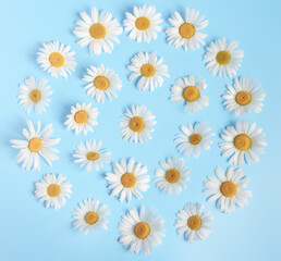 Flower arrangement of white daisies. The concept of summer, spring, holiday. Top view, flat lay.