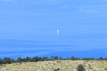 Sailing boat on the blue sea. Pine forest on the mountain slope in foreground. Adriatic sea in Croatia, near Novi Vinodolski touristic center.