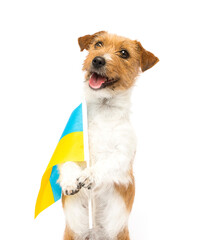 dog patriot of ukraine