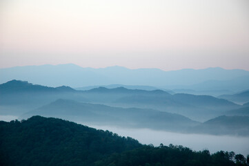 Fototapeta premium Morning Mist in Tennessee.