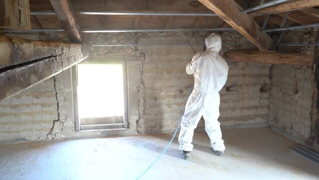 Professional Person With Chemical Sprayer Against Wood-Eating Insect Infestation. Medium Shot
